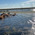Los primeros impactos de El Niño y un debate que comienza a asomar