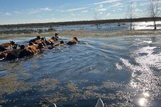 Los primeros impactos de El Niño y un debate que comienza a asomar