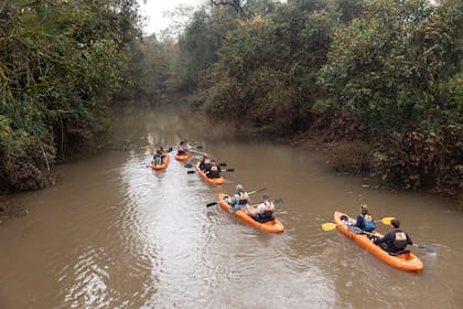 Salida en kayak por el riacho San Francisco en Yacutinga Lodge.