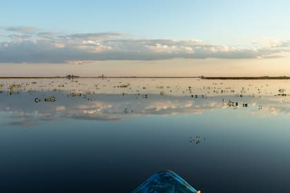Salida en lancha por una de las lagunas en medio del estero.