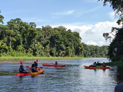 Salidas en kayak por los canales del Parque Nacional Tortuguero