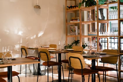 Salón de Alcanfor