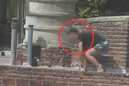 Saltó de una vivienda a otra, tratando de escapar por las alturas, pero tras una breve persecución, los uniformados lograron reducirlo y aprehenderlo en pleno techo, a la altura de la calle Gustavo Walther 3956.