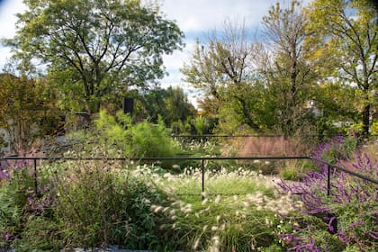 Salvia leucantha y gramíneas, dos protagonistas de los jardines contemporáneos