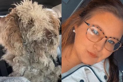 Salvó a un perro del frío y por no seguir las normativas debe asistir a tribunales (GoFundMe-Facebook/Dason Bailey Garner)