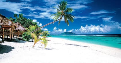 Samoa, un paraíso inolvidable.