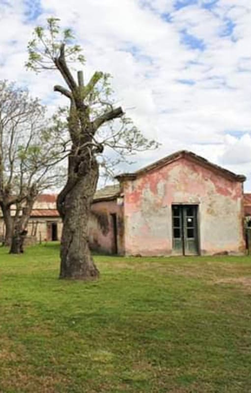 El viejo almacén San Gervasio, con cancha de bochas, en Tapalqué