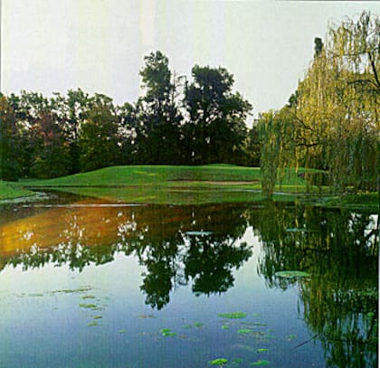 El proyecto tendrá cancha de golf y lagos artificiales