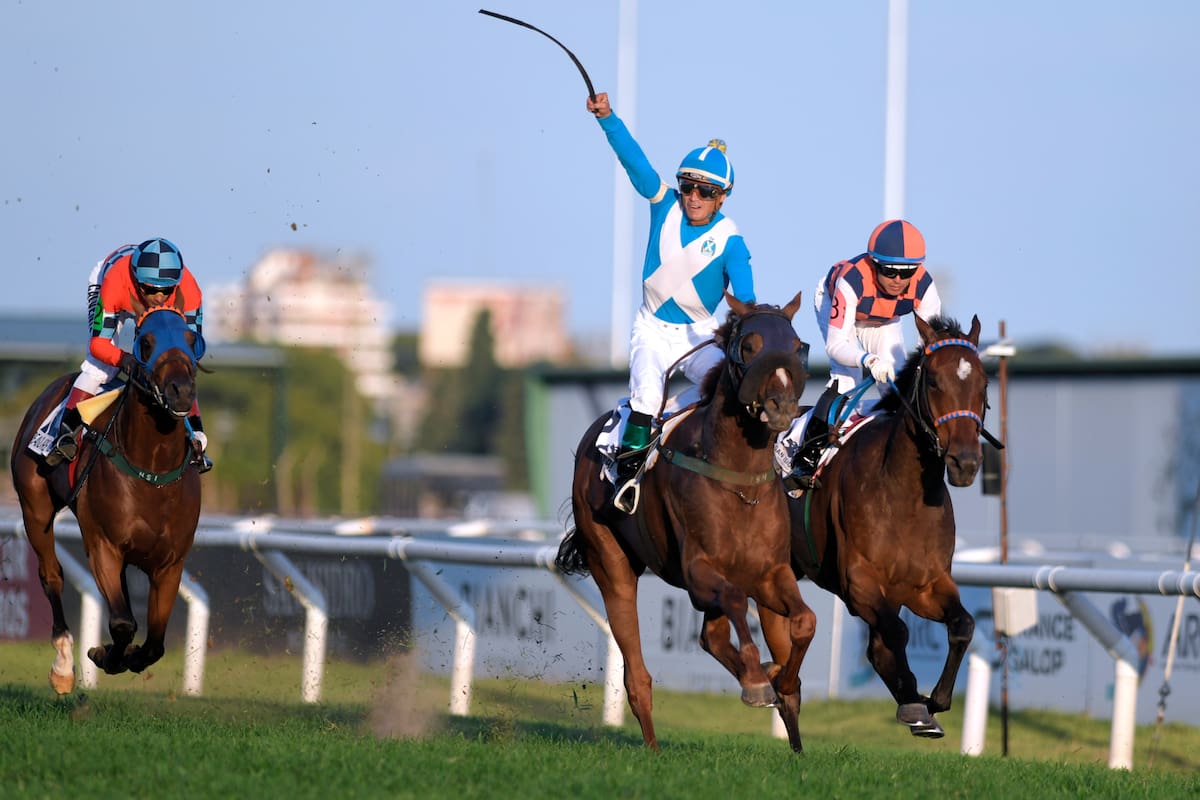 San Isidro sería el primer hipódromo de la provincia de Buenos Aires en recibir apuestas desde el exterior directamente a sus pozos y aguarda la habilitación de la aplicación para los teléfonos