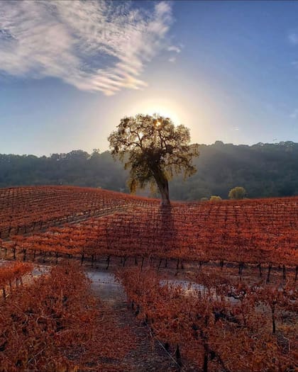 San Luis Obispo, una de las joyas escondidas de California