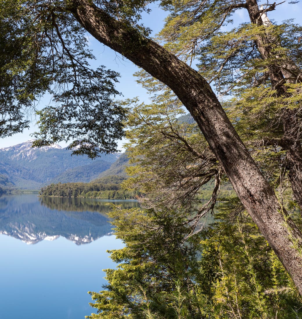 San Martín de los Andes, una opción ideal para las vacaciones de invierno