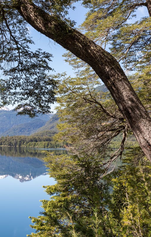 San Martín de los Andes, una opción ideal para las vacaciones de invierno