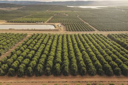 San Miguel Sudafrica africa
naranjas sudafrica
plantacion
campo
campos cultivados en Africa. Exportamos maquinaria para sembrar. Es una nota en general sobre las oportunidades que hay para venderle a Africa
2021