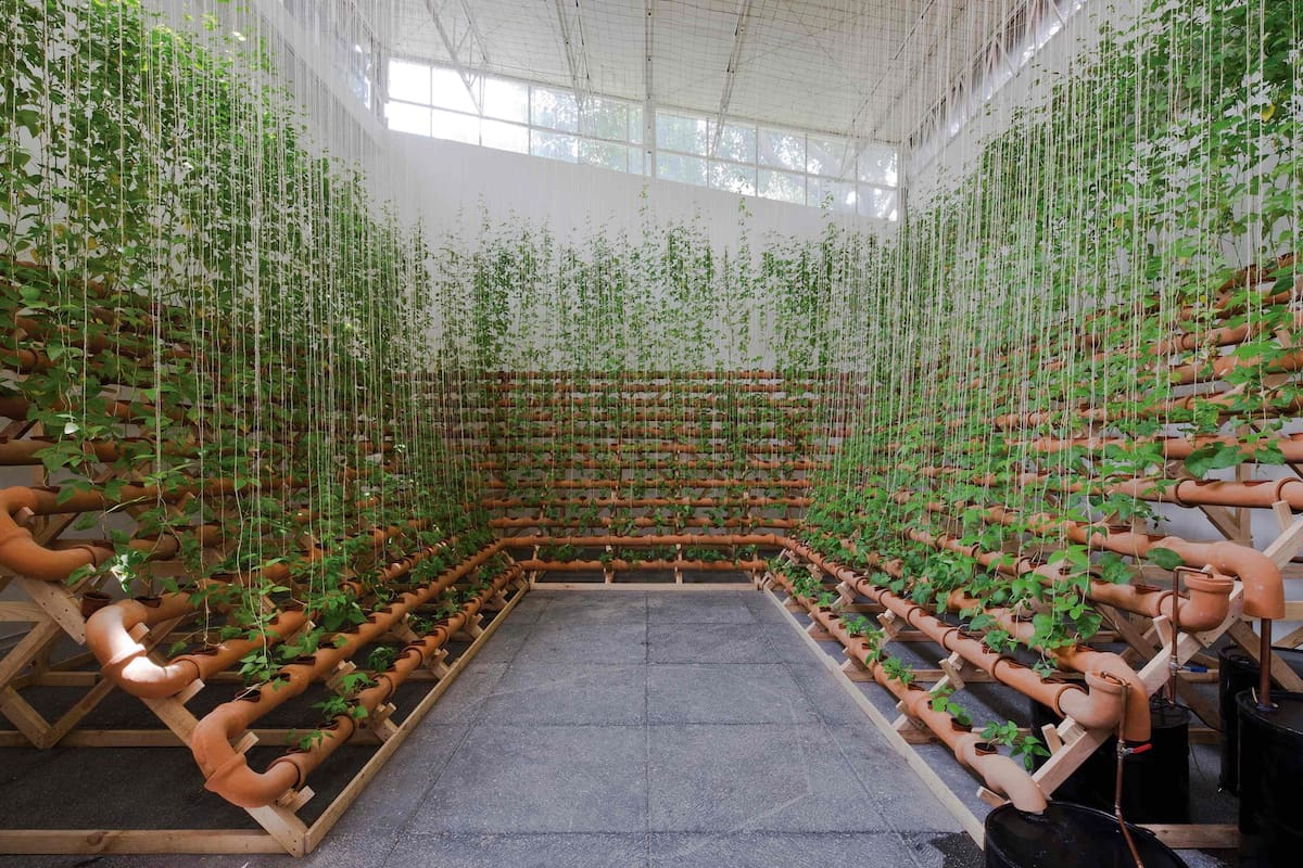 San Pablo y Porto Alegre, capitales del arte en 2020