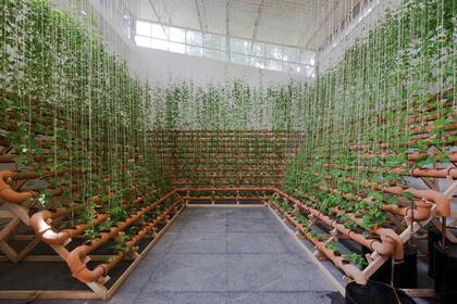 San Pablo y Porto Alegre, capitales del arte en 2020