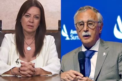 Sandra Pettovello precisó que PAMI y Discapacidad pertenecen a la cartera de Salud, a cargo de Mario Lugones.