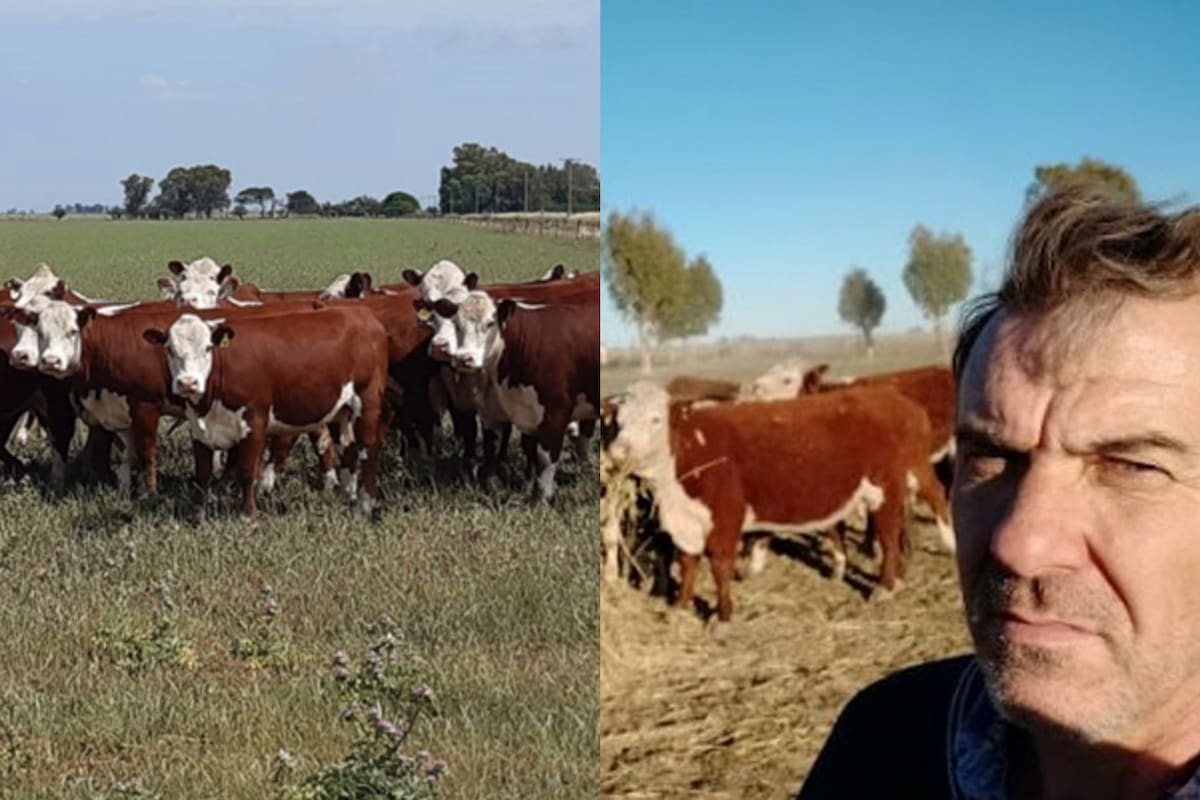 Sandro Grand junto a su rodeo pampa en su establecimento La Margarita, ubicado en el límite con la provincia de La Pampa, a 13 kilómetros de Jacinto Arauz y a 25 de la localidad bonaerense de Villa Iris