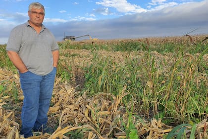 Sandro Raspo utiliza cultivos de servicio