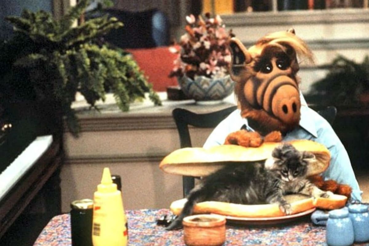 Sándwich de gato, el plato favorito de Alf