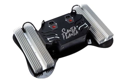 Santa Planta