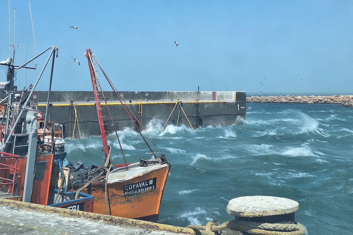 Santa Cruz, Río Negro y Chubut fueron las provincias más afectadas