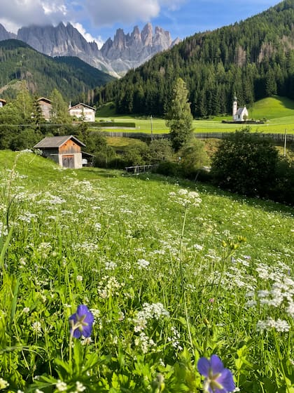 Santa Maddalena, uno de los pueblos más emblemáticos del Val di Funes, famoso por sus impresionantes vistas del grupo de montañas Odle/ Geisler.
