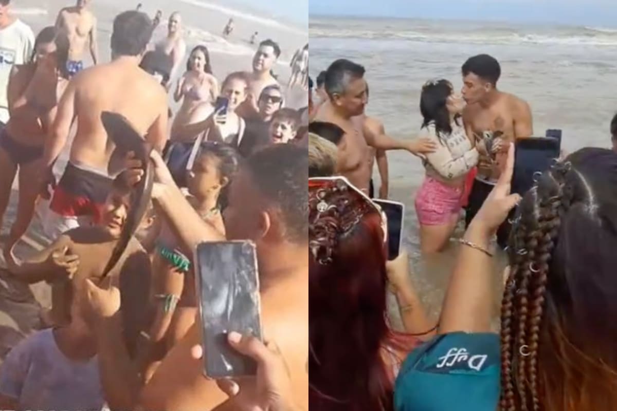 Santa Teresita: sacaron un pequeño ‘tiburón’ del agua para tomarse fotos y generaron repudio