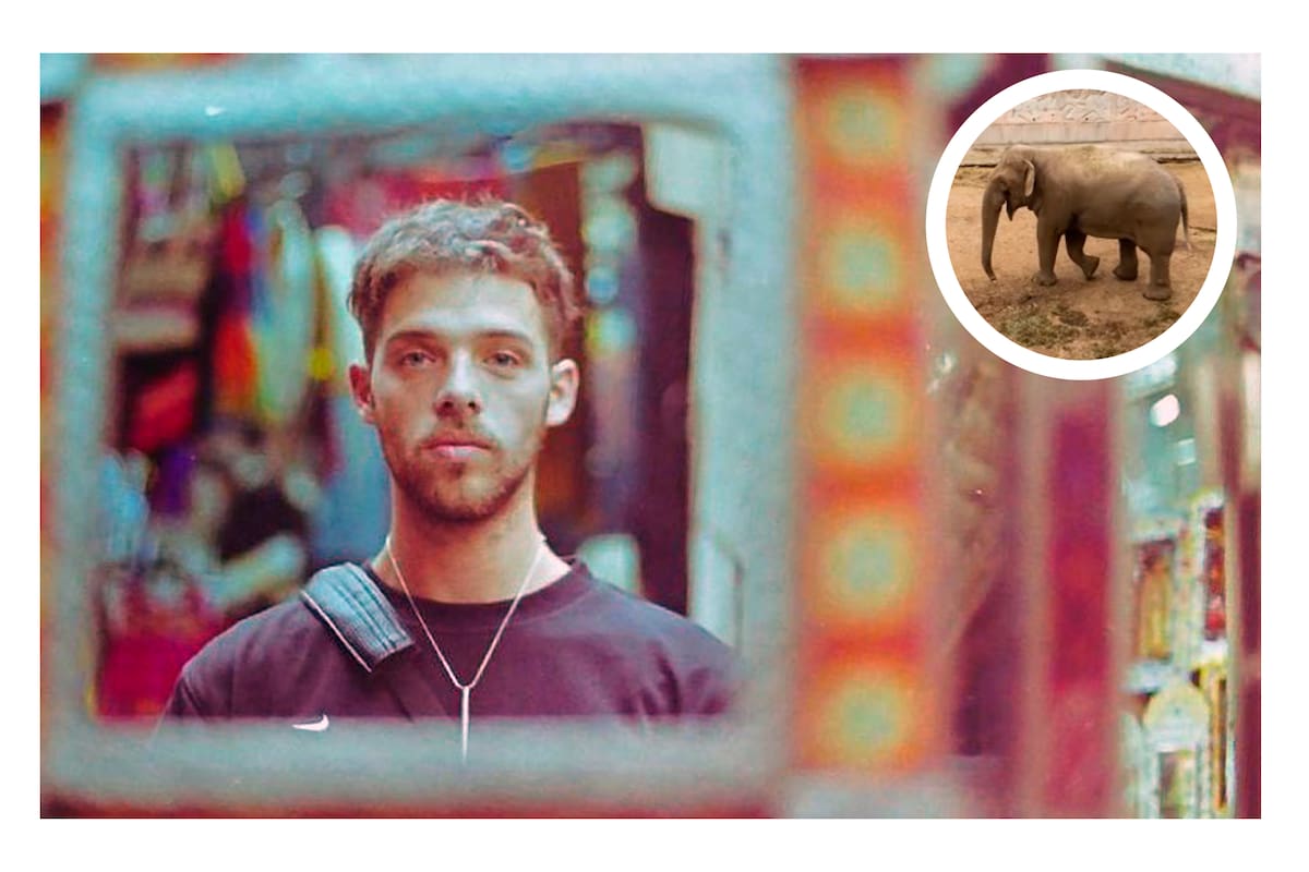 Santi Maratea donó el excedente de distintas campañas solidarias previas para que el elefante Tamy pueda ser trasladado dedesde Mendoza a un santuario animal en Brasil