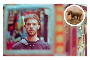 Santi Maratea donó el excedente de distintas campañas solidarias previas para que el elefante Tamy pueda ser trasladado dedesde Mendoza a un santuario animal en Brasil