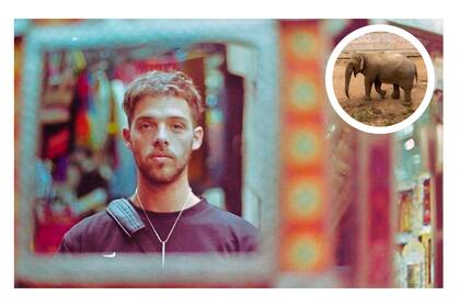 Santi Maratea donó el excedente de distintas campañas solidarias previas para que el elefante Tamy pueda ser trasladado dedesde Mendoza a un santuario animal en Brasil