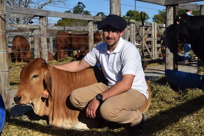 Santiago Badaracco, de 30 años, con el Reservado de Gran Campeón Hembra Brahman