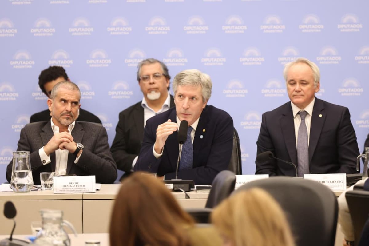 Santiago Bausili, presidente del Banco Central, junto a Benegas Lynch, en la Comisión por reforma de la carta del BCRA