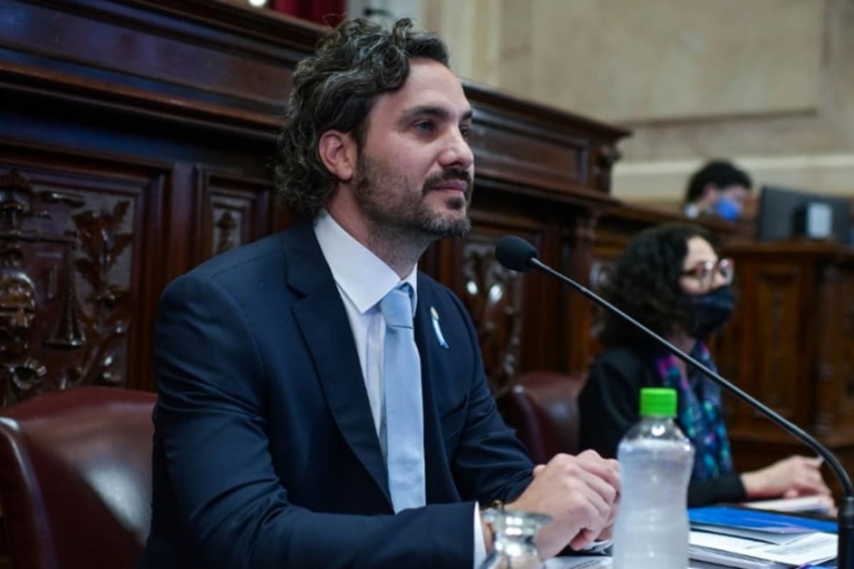 Santiago Cafiero, en el Senado