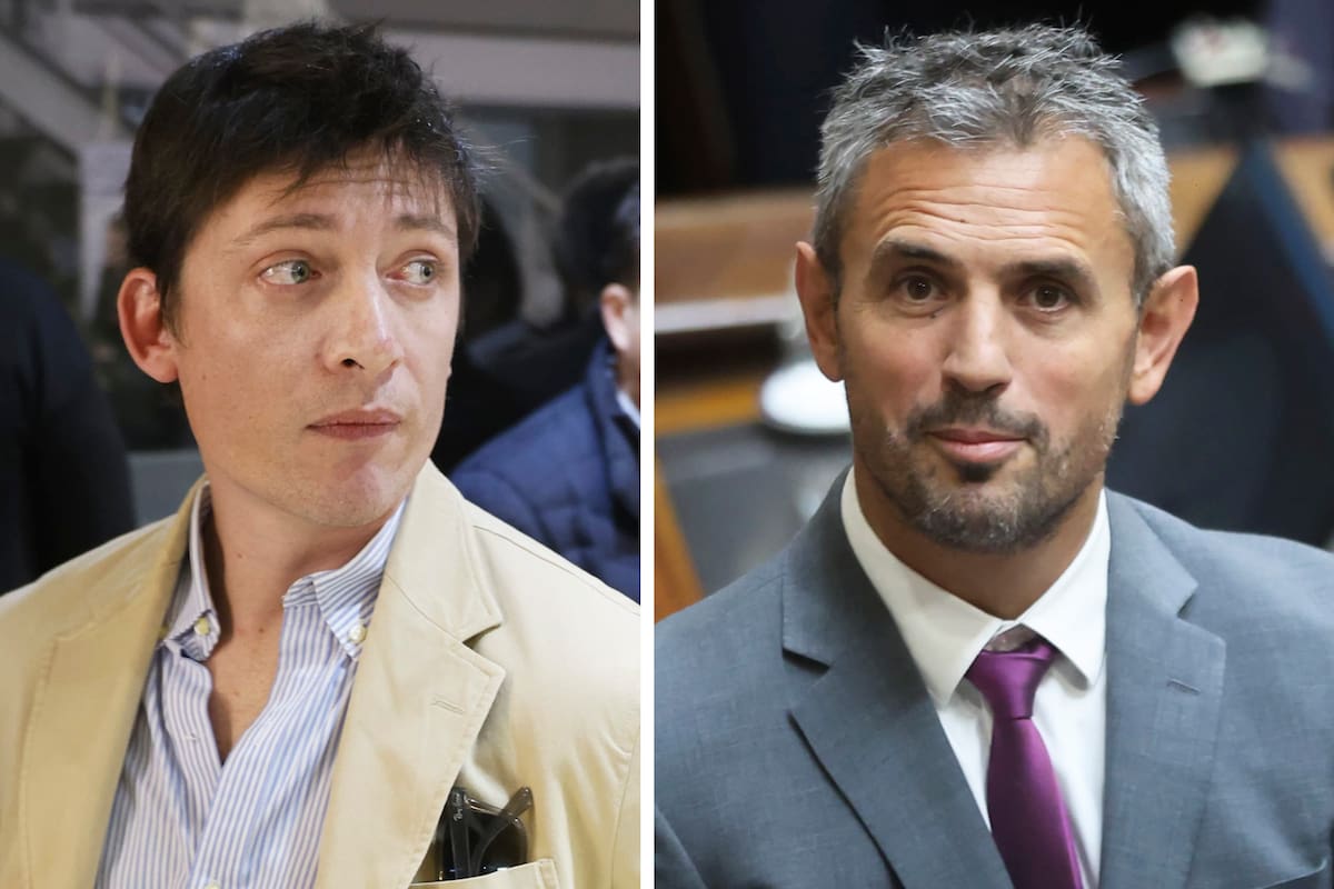 Santiago Caputo y Martín Menem