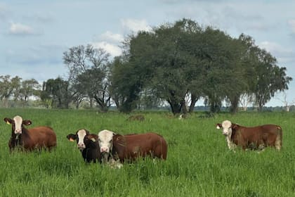 Santiago exportó por un total de 1513 millones de dólares