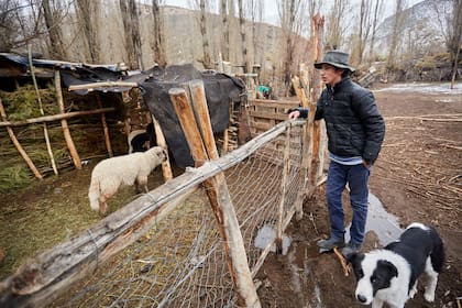 Santiago Moreno, como sus padres y sus abuelos, se dedica a la crianza de animales en Las Loicas, a pocos kilómetros de Chile