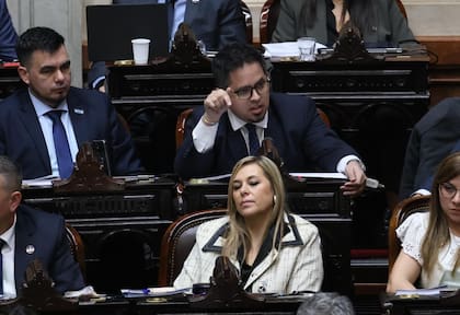 Santiago Pauli LLA. Sesión en la Cámara de Diputados por endeudamiento y discapacidad. Congreso Nacional