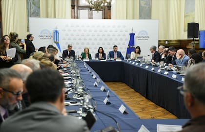 Santillán en el encuentro con eurodiputados en el Congreso
