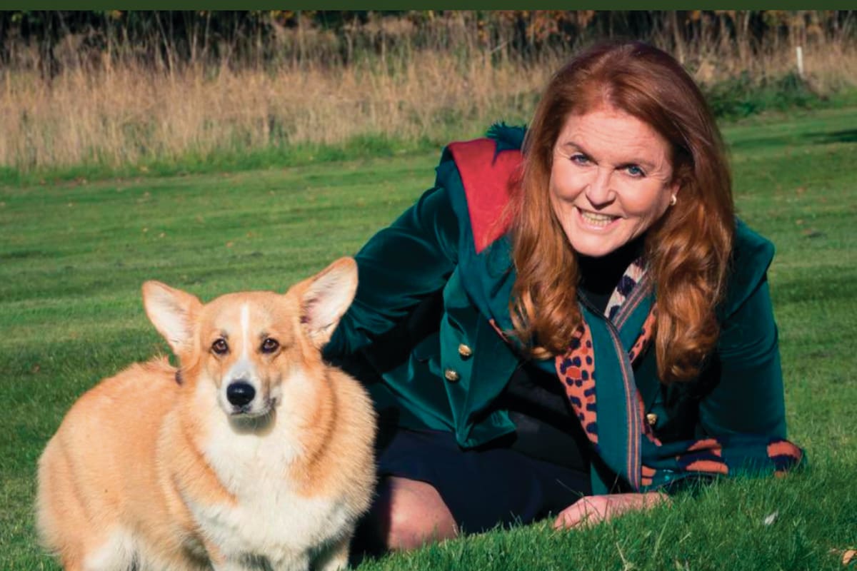 Sarah Ferguson develó por qué no saca a pasear a los dos perros corgies de Isabel II