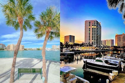 Sarasota ofrece el equilibrio perfecto entre los atractivos de playa y una intensa agenda cultural