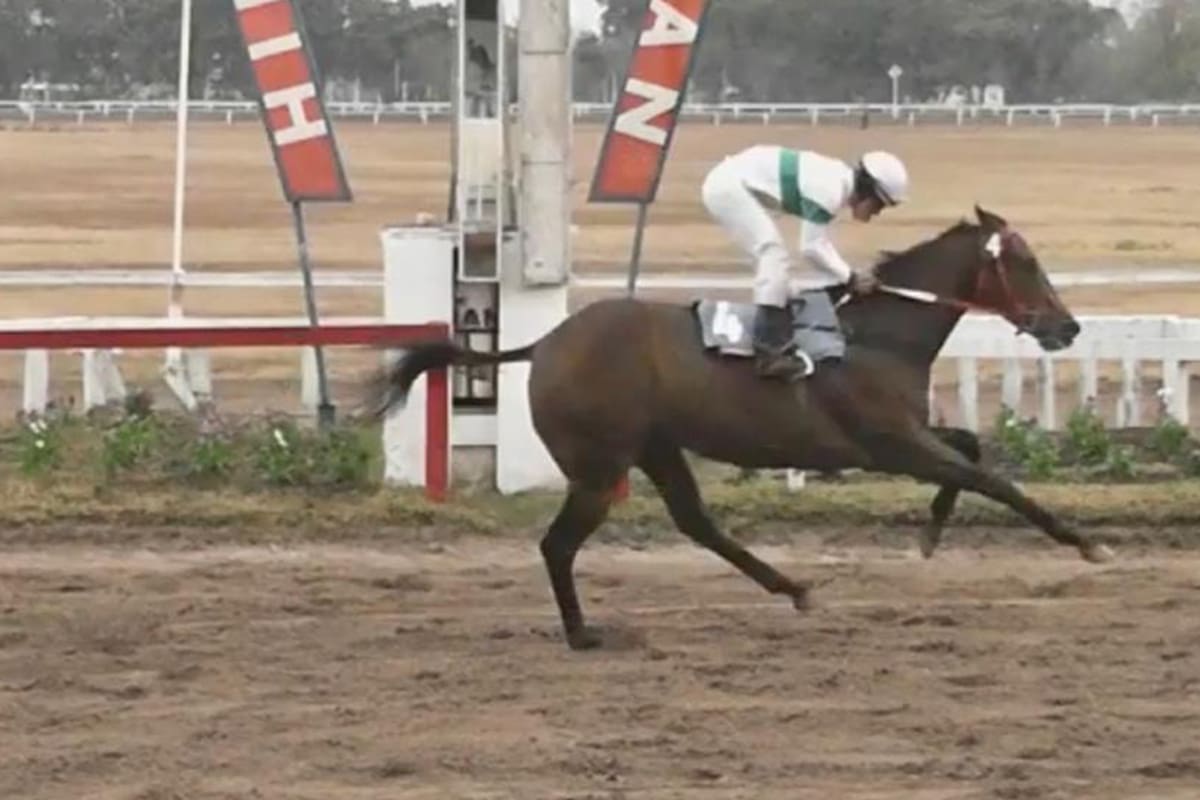 Sarfo, el potrillo que hace ilusionar a los Haddad, desde Salta