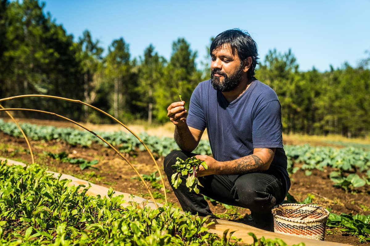 Saúl Lencina tiene huerta en su casa de Posadas.