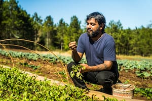 Saúl Lencina tiene huerta en su casa de Posadas.