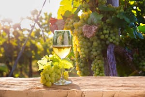 Sauvignon Blanc