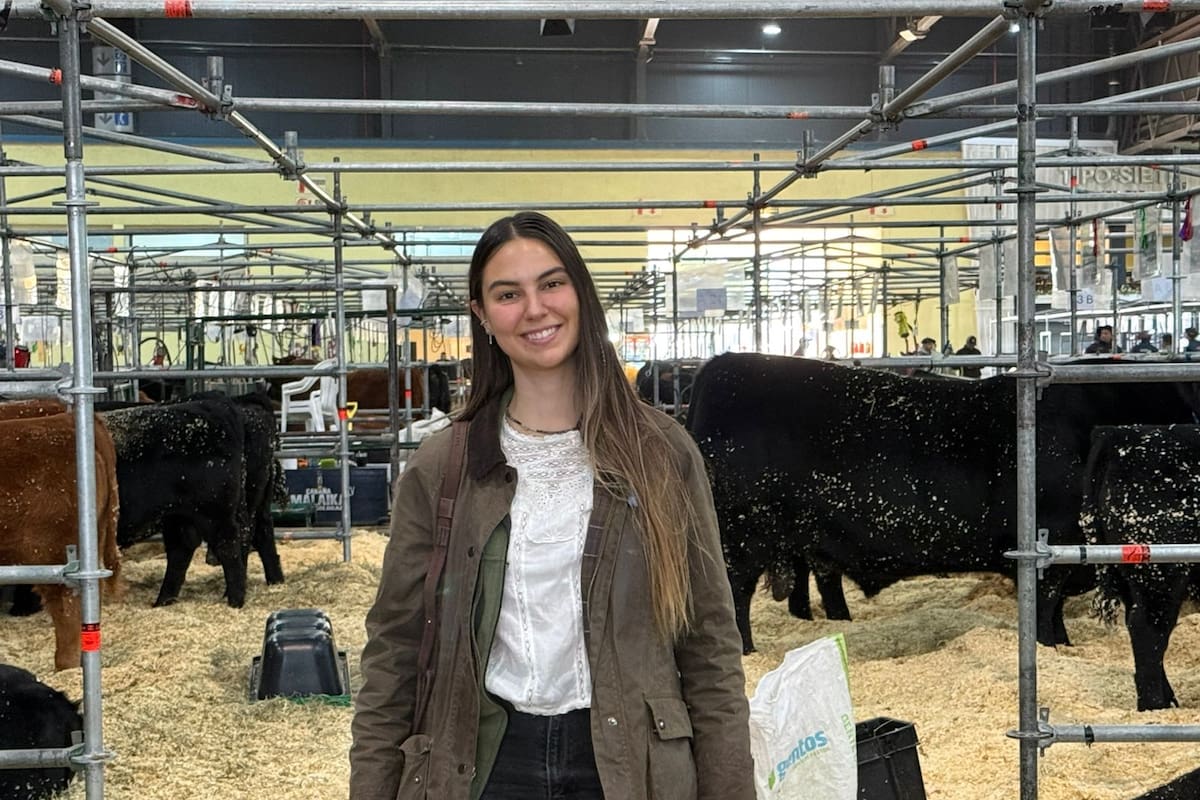 Schirado combina finanzas, producción y genética Angus en la empresa familiar