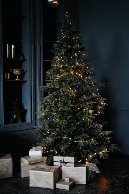 Se acerca la navidad y según el Feng Shui acomodar el árbol de determinada manera puede atraer energía positiva