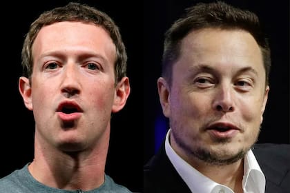 ¿Se agarrarán a las trompadas? Mark Zuckerberg y Elon Musk se desafiaron a una pelea tipo lucha libre en Las Vegas, y luego Musk llamó "cornudo" a Zuckerberg
