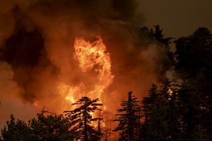 Hay decenas de focos de incendios en California