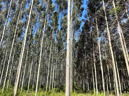 Se analizaron 5377 sitios en todo el territorio nacional