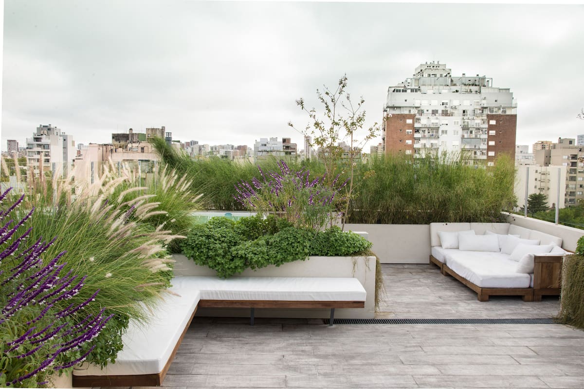 Una terraza que se aprovecha bajo una pérgola por la que trepan ampelopsis y jazmines azóricos.